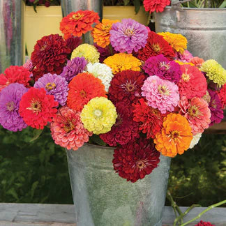 👉 Grow Gorgeous, Eye-Catching Flowers at Home — No Experience or Green Thumb Needed 🌱