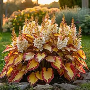 Nothing Grows in Shade? Watch This… 🌿 Turn Dead Corners Into a Lush Garden Paradise
