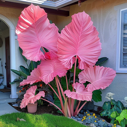 🌈 Turn Any Garden Into a Tropical Masterpiece