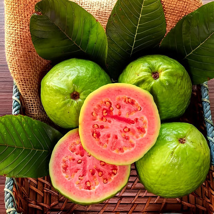 Grow Your Own Sweet Red Guava at Home 🍓🌱 High-Yield Exotic Fruit Seeds – Easy, Fast & Delicious