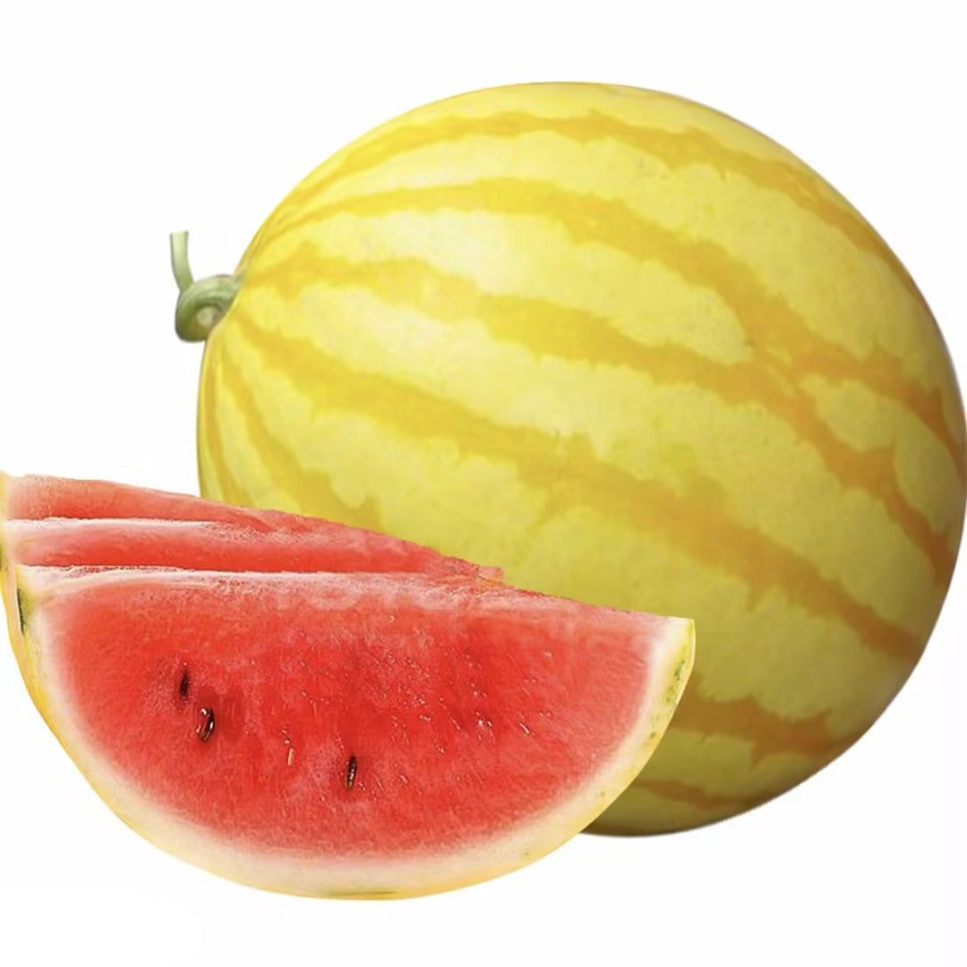 🍉🍹Golden Red Watermelon Seeds