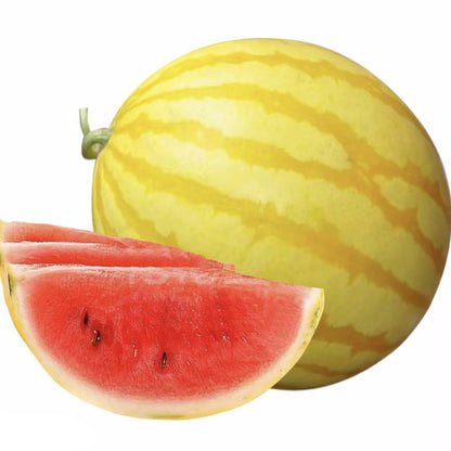 🍉🍹Golden Red Watermelon Seeds
