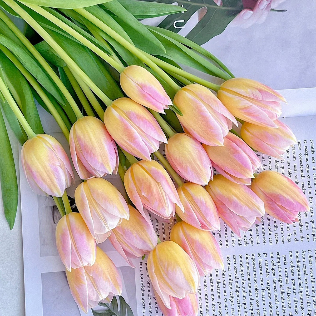 💥Spring NEW🌷Tulips "first love"seeds