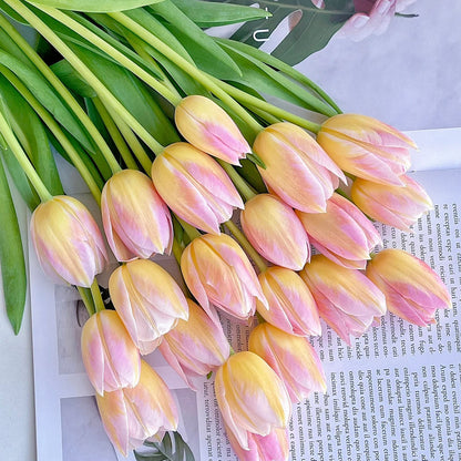 💥Spring NEW🌷Tulips "first love"seeds