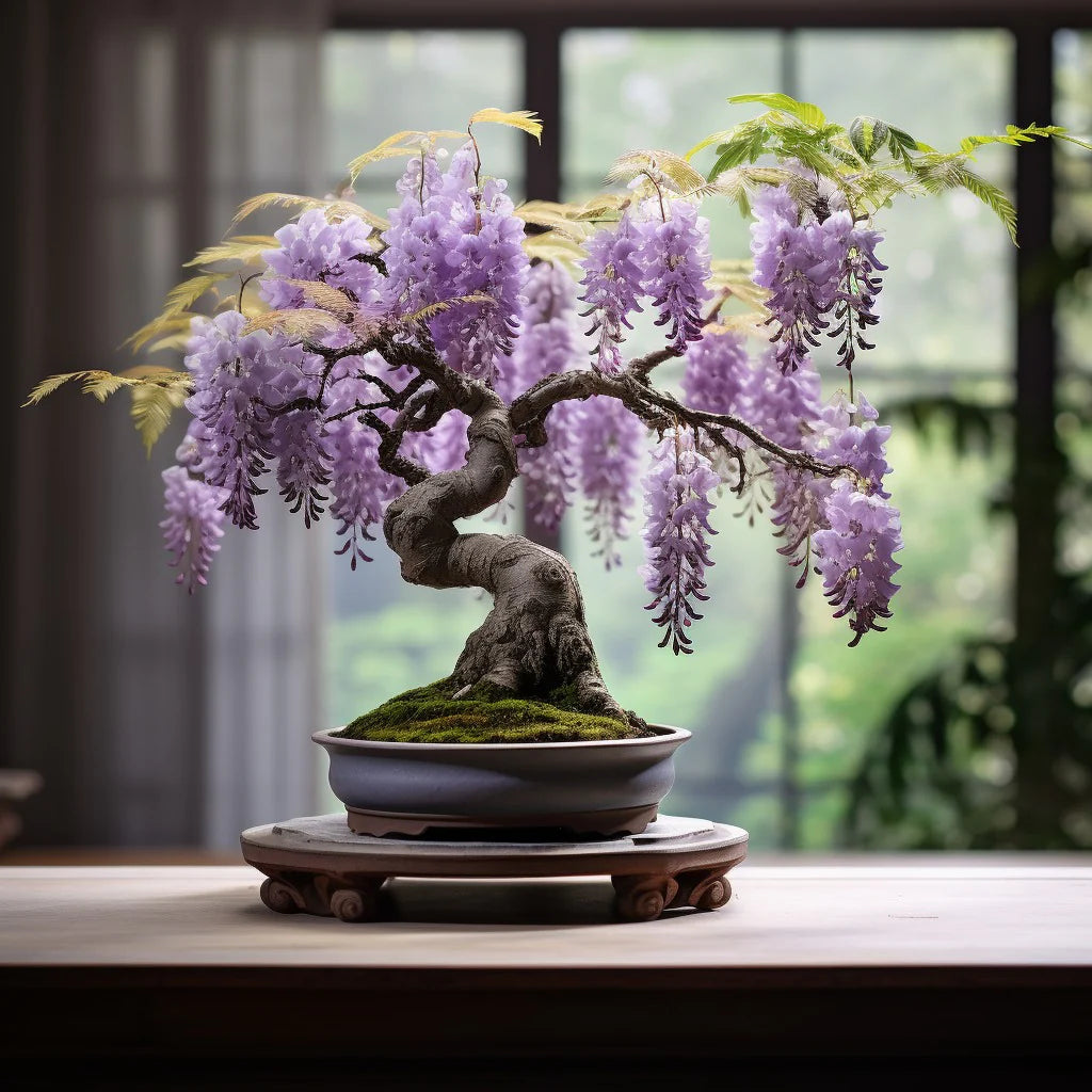 🔥LAST DAY 75% Off🌺The Queen Of Flowers—Wisteria Flower Seeds