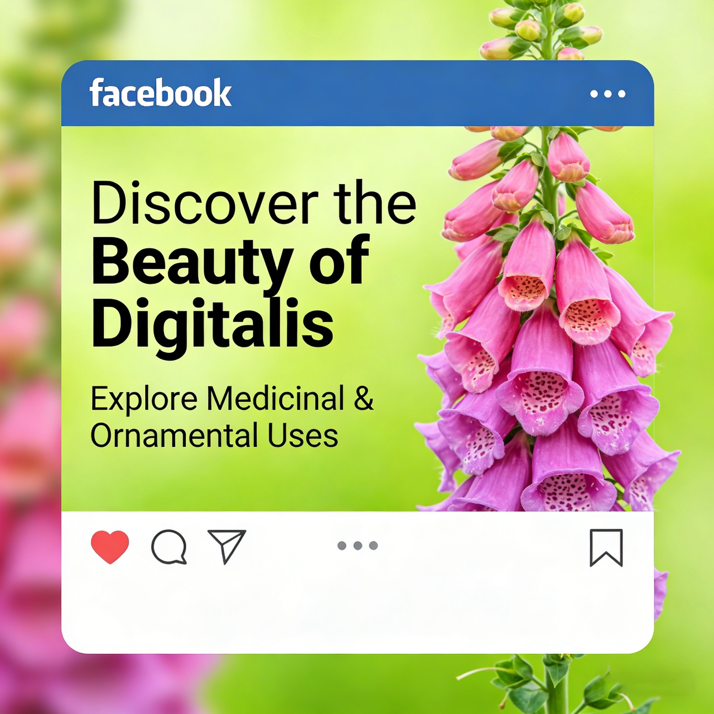 🔥Premium Foxglove Seeds –  🌸Elegant Blooms That Transform Your Garden