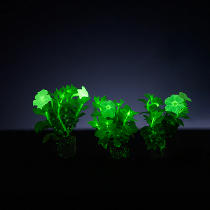 🪴Firefly Petunia Seeds – Glow-in-the-Dark Flowers Inspired by Nature & Science