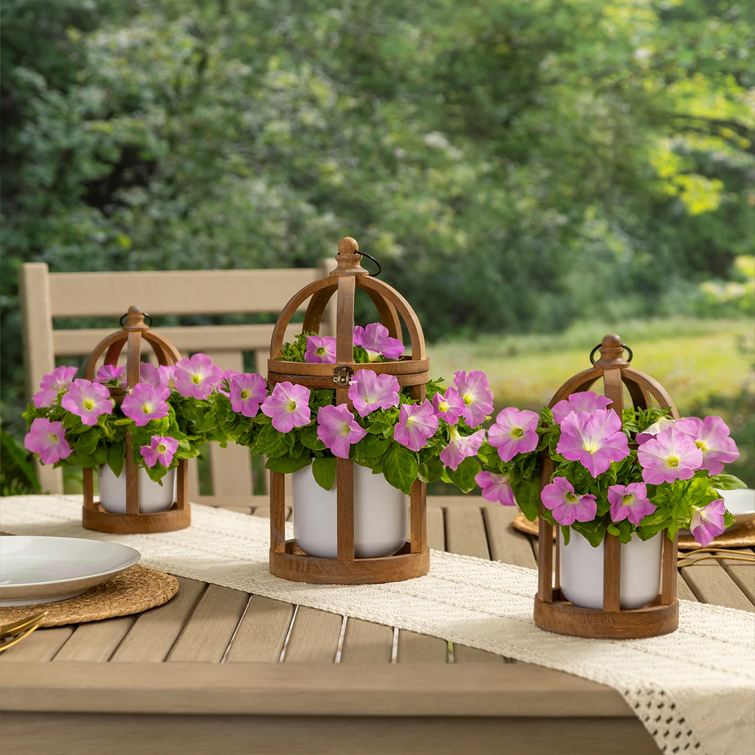 🪴Firefly Petunia Seeds – Glow-in-the-Dark Flowers Inspired by Nature & Science