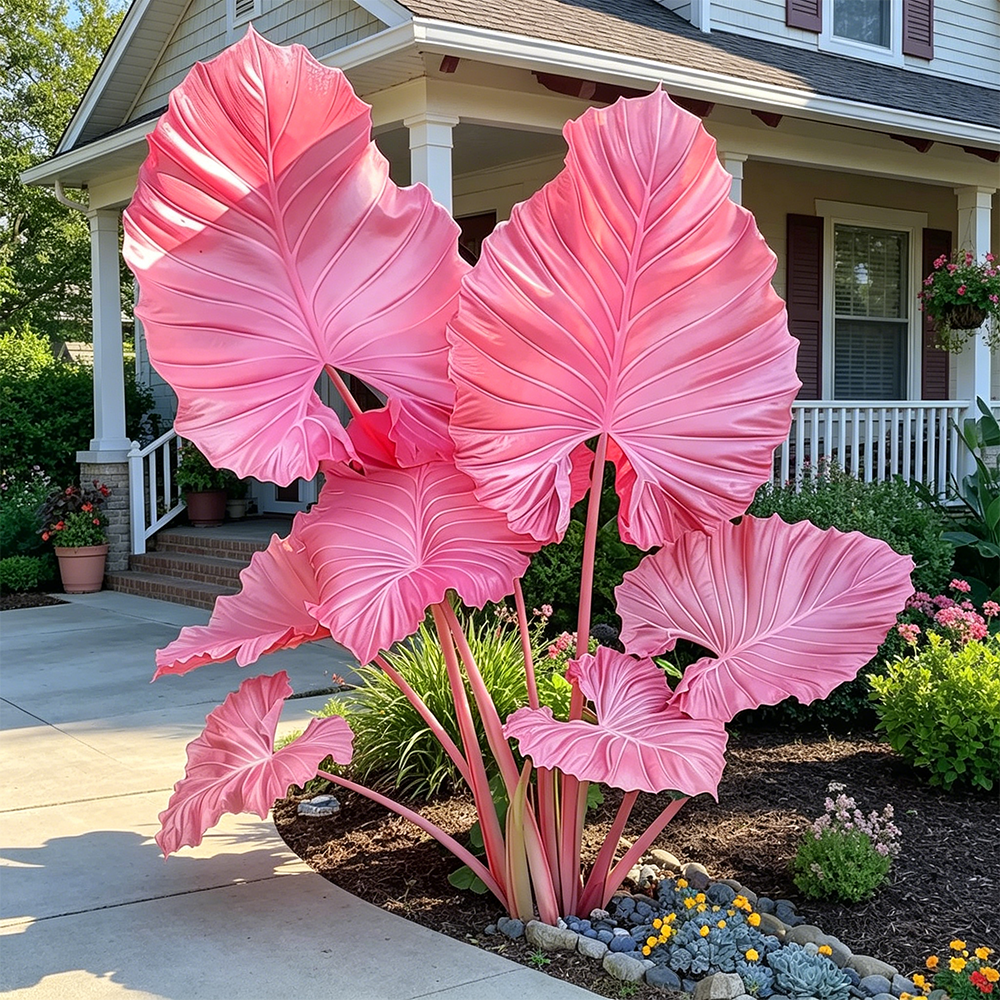 🌿Caladium Giganteum Bulbs 🌟The tropical star of your garden