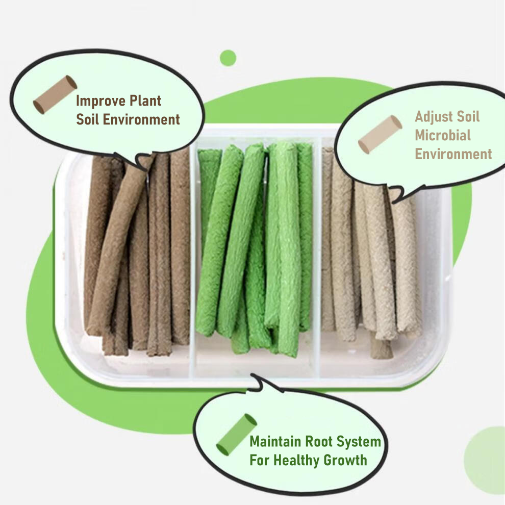 👉 💥 Limited Sale  | 🌻Enchanting Giant Teddy Bear Sunflower Seeds