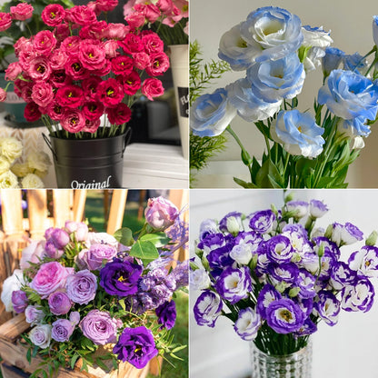 🌷Lisianthus Seeds - Blooming Elegance