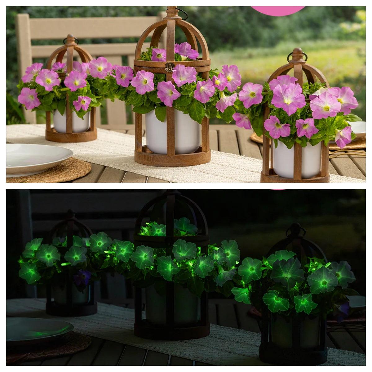🪴Firefly Petunia Seeds – Glow-in-the-Dark Flowers Inspired by Nature & Science