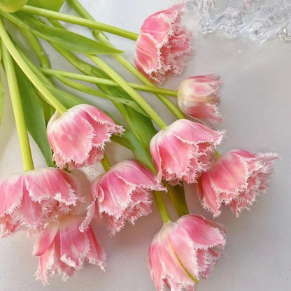 Tulip Seeds – Grow a Stunning Spring Garden Full of Color