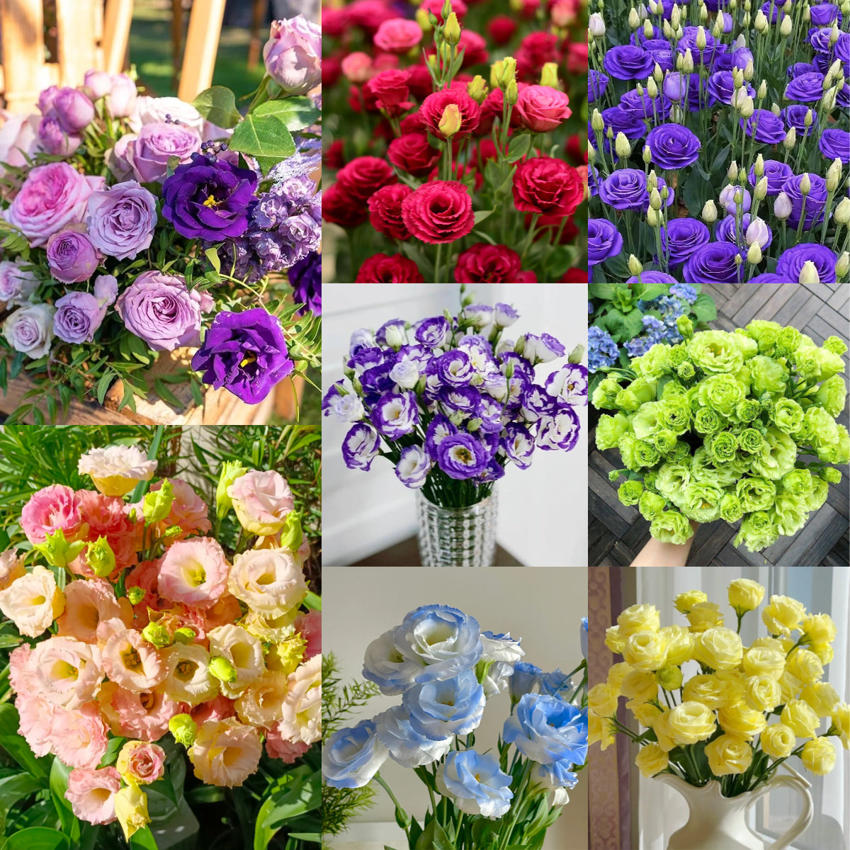 🌷Lisianthus Seeds - Blooming Elegance