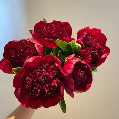 🌺🌺🌺 Bring the “Queen of Flowers” to Your Backyard