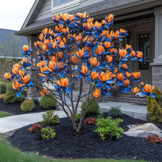 🌳 Legendary Mulan Tree · Illuminate Your Abundant Life 🌳