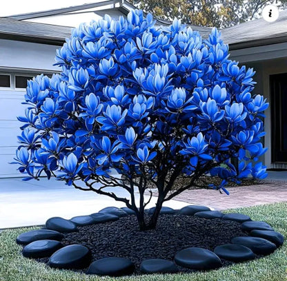 🌳 Legendary Mulan Tree · Illuminate Your Abundant Life 🌳