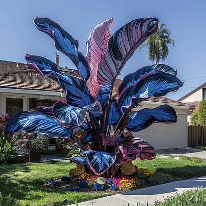 🌿✨Giant Caladium Bulbs 🎊The color wizard that creates a dream garden 🌈