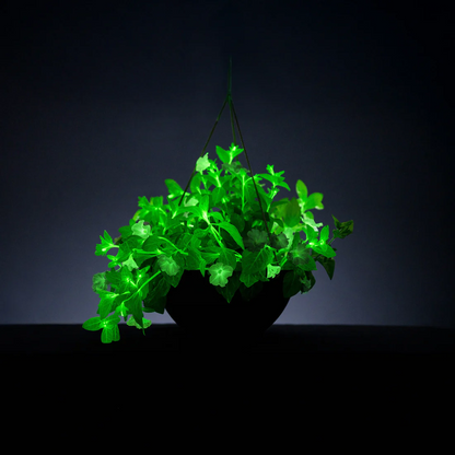 🪴Firefly Petunia Seeds – Glow-in-the-Dark Flowers Inspired by Nature & Science