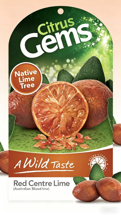 🍋✧˖°Finger Lime Seeds-Citrus Australasica