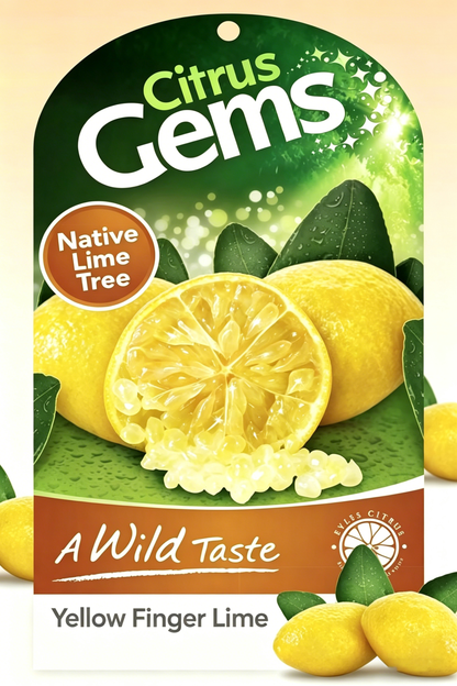 🍋✧˖°Finger Lime Seeds-Citrus Australasica