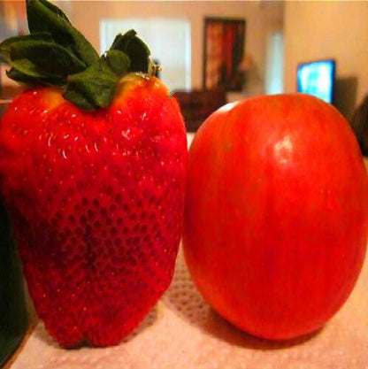 Rare Giant Strawberry Seeds 🍓 Grow Huge, Easy to grow