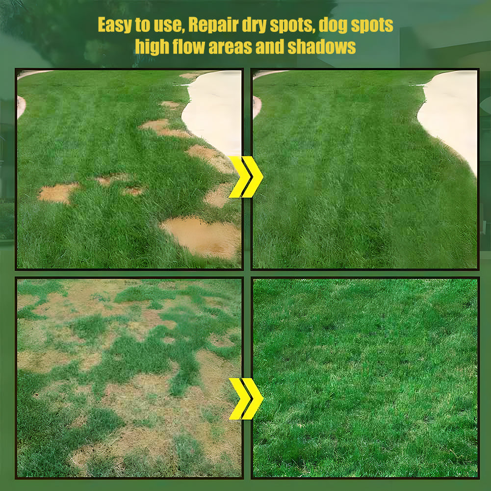🔥🌿All-Season EverGreen Grass Seeds Mix 🌿
