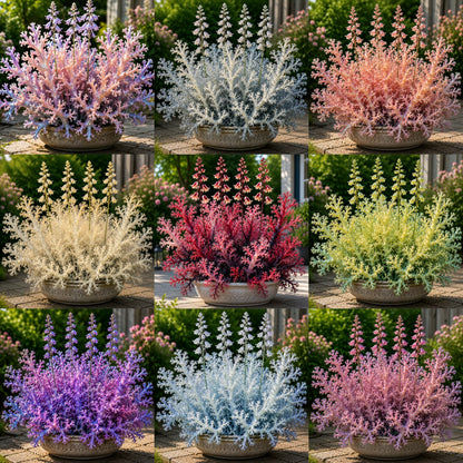 🏠🪸 Coral Reef Hosta Bulbs 🌿 Add Color & Texture to Shady Gardens