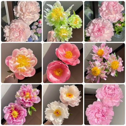 🌺 Peony Bulbs: The Queen of Flowers for Your Garden
