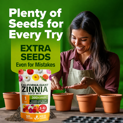 🔥Zinnia Seeds 🌼Grow a Burst of Color in Your Garden (Fast, Easy & Beginner-Friendly)