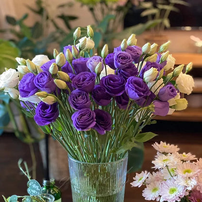 💖🌷Experience the Beauty of Eustoma in Your Own Garden 💐