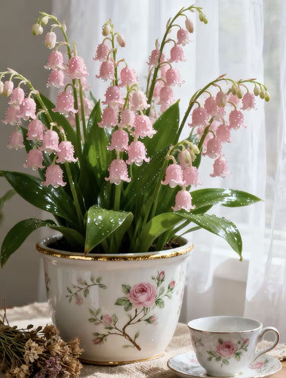 🎐♡Lily of the Valley—Happiness Arrives