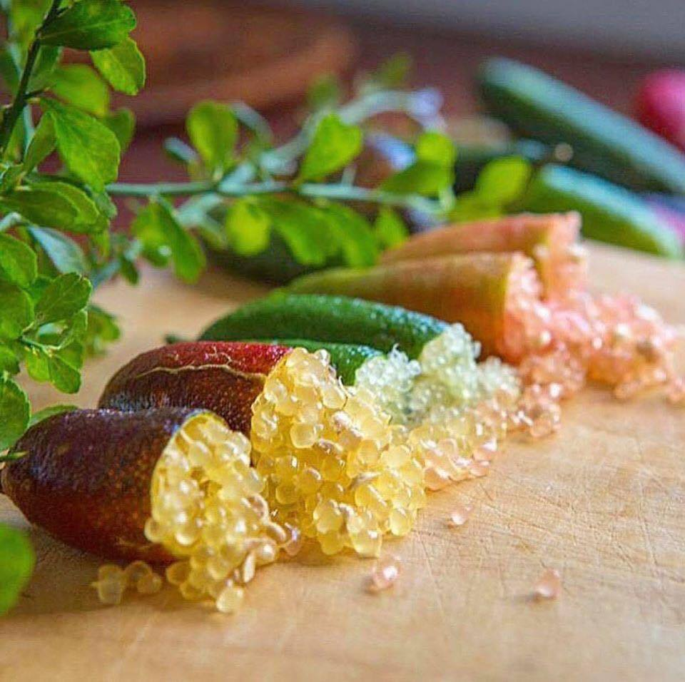 🍋✧˖°Finger Lime Seeds-Citrus Australasica