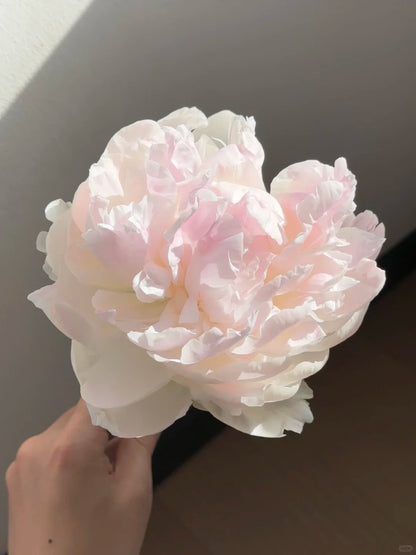 🌺 Peony Bulbs: The Queen of Flowers for Your Garden