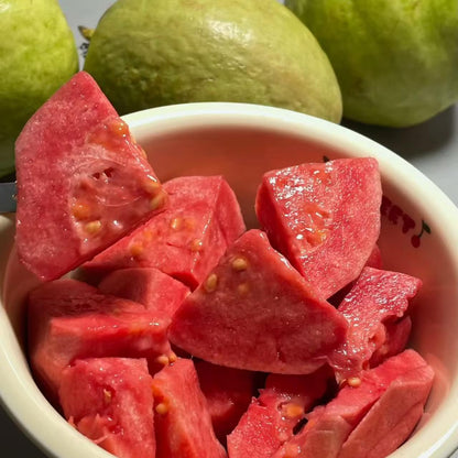 Grow Your Own Sweet Red Guava at Home 🍓🌱 High-Yield Exotic Fruit Seeds – Easy, Fast & Delicious