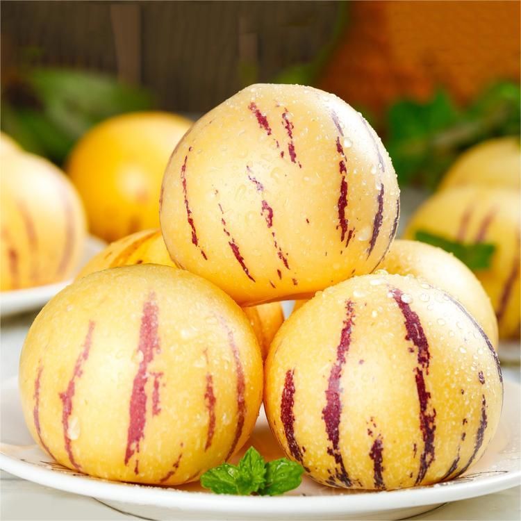 🍐🍐Pepino Melon Seeds