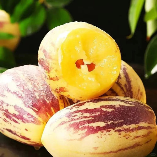 🔥 Ginseng Fruit (Pepino) – Light, Juicy & Naturally Nourishing ✨Refresh Your Body with Light, Clean Nutrition