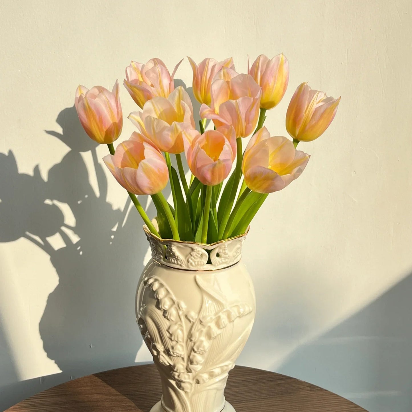 💥Spring NEW🌷Tulips "first love"seeds