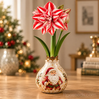 🔥 No Soil! No Water! Just Blooms! 🎄🌺 Watch These Holiday Waxed Amaryllis Bulbs Come to Life!