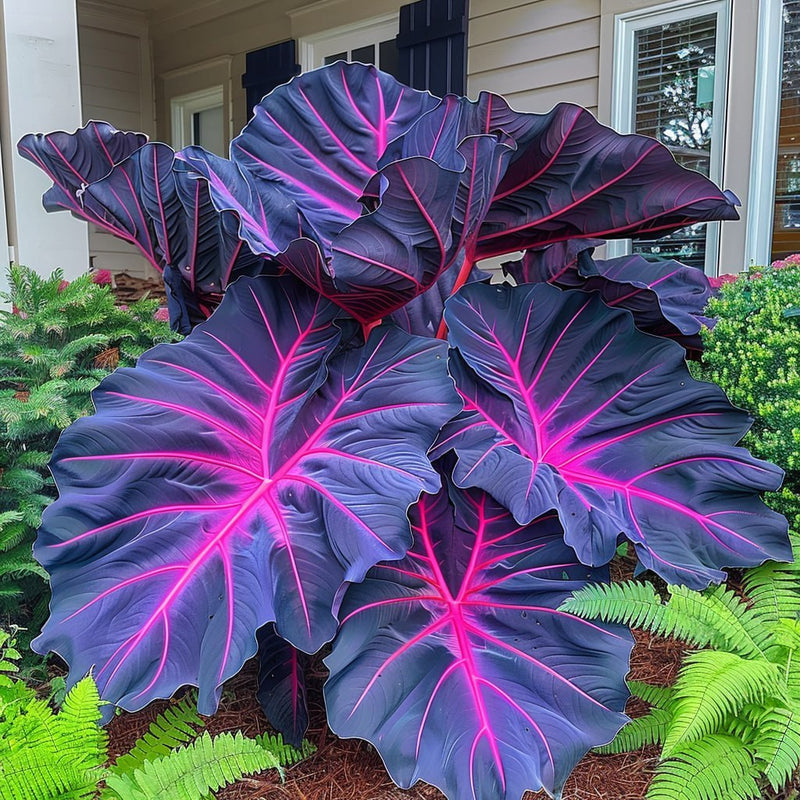🌈 Turn Any Garden Into a Tropical Masterpiece