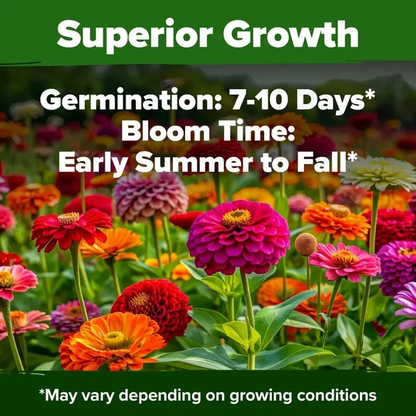 🔥Zinnia Seeds 🌼Grow a Burst of Color in Your Garden (Fast, Easy & Beginner-Friendly)