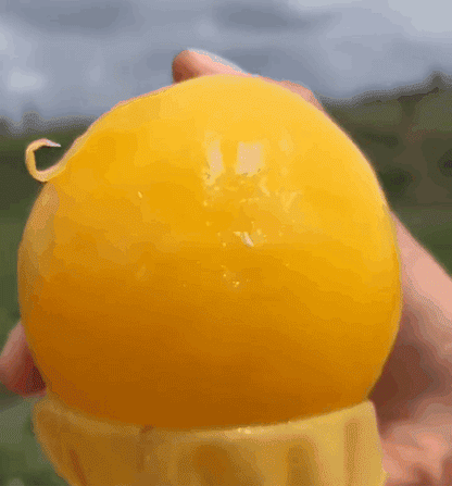 🍈 Grow Sweet, Juicy Melons Right at Home