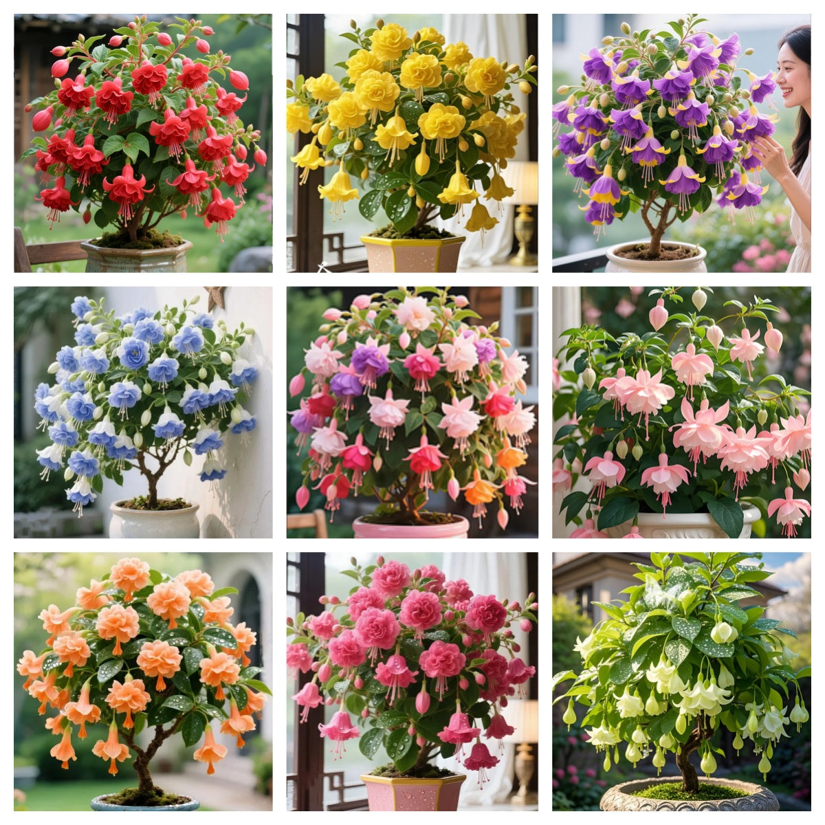 🌙 Fuchsia bulbs – Let your garden gently illuminate