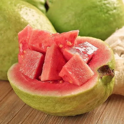 Grow Your Own Sweet Red Guava at Home 🍓🌱 High-Yield Exotic Fruit Seeds – Easy, Fast & Delicious