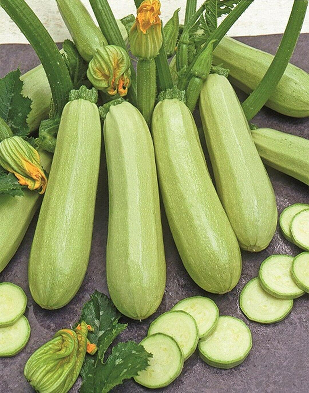 🍰 Creamy Zucchini — The Perfect Blend of Flavor and Health