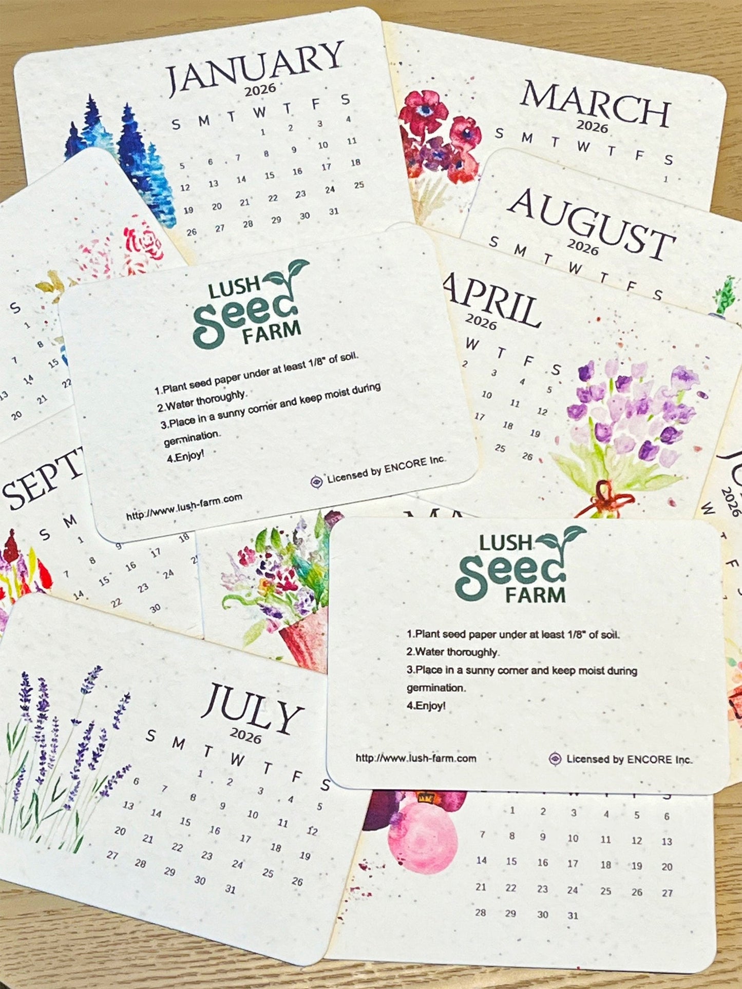 📅🌱2026 Eco-friendly Portable Seed Calendar