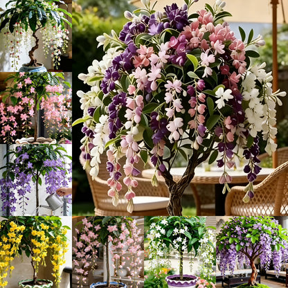 🌸【7 days germination】Last Day Up to 50% OFF💐Rare Weeping Jasmine Flowers Bulbs