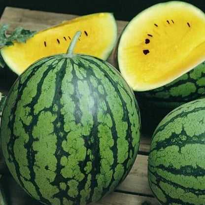 🍉😋Ruby Watermelon Seeds-Grow Your Own Sweety