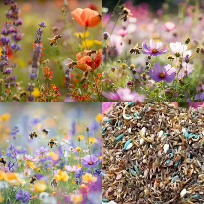 🌸 All-Season Mixed Perennial Flowers Seeds – 90+ Varieties, Bloom All Year!