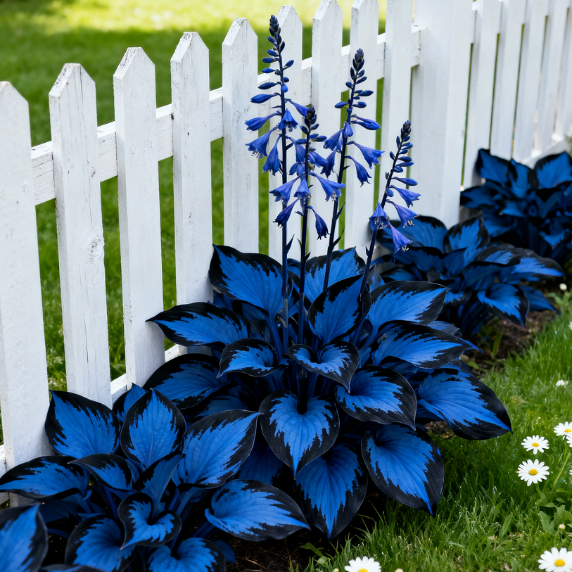 🌿Rare Premium Hosta Bulbs– Easy to grow🌸Transform Your Garden!